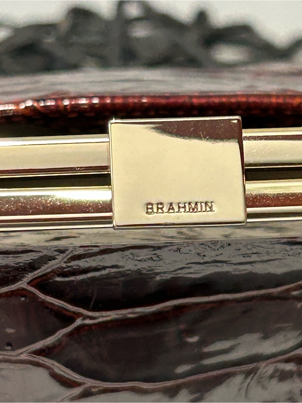 Brahmin Emmy Foliage Lakewood Leather Bag NWOT - Picture 5 of 16